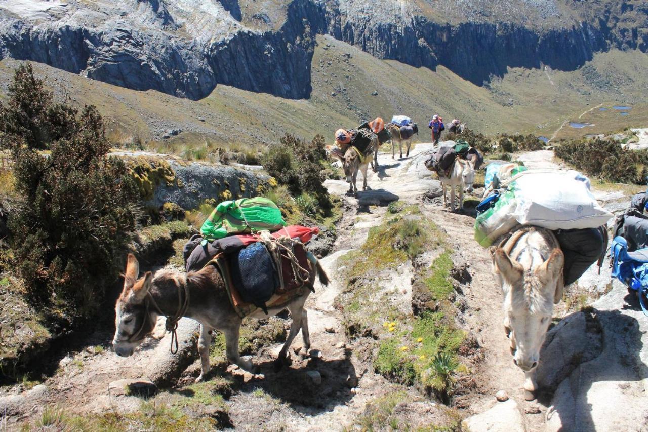 Vacahouse Hostels B&B Huaraz  Bagian luar foto